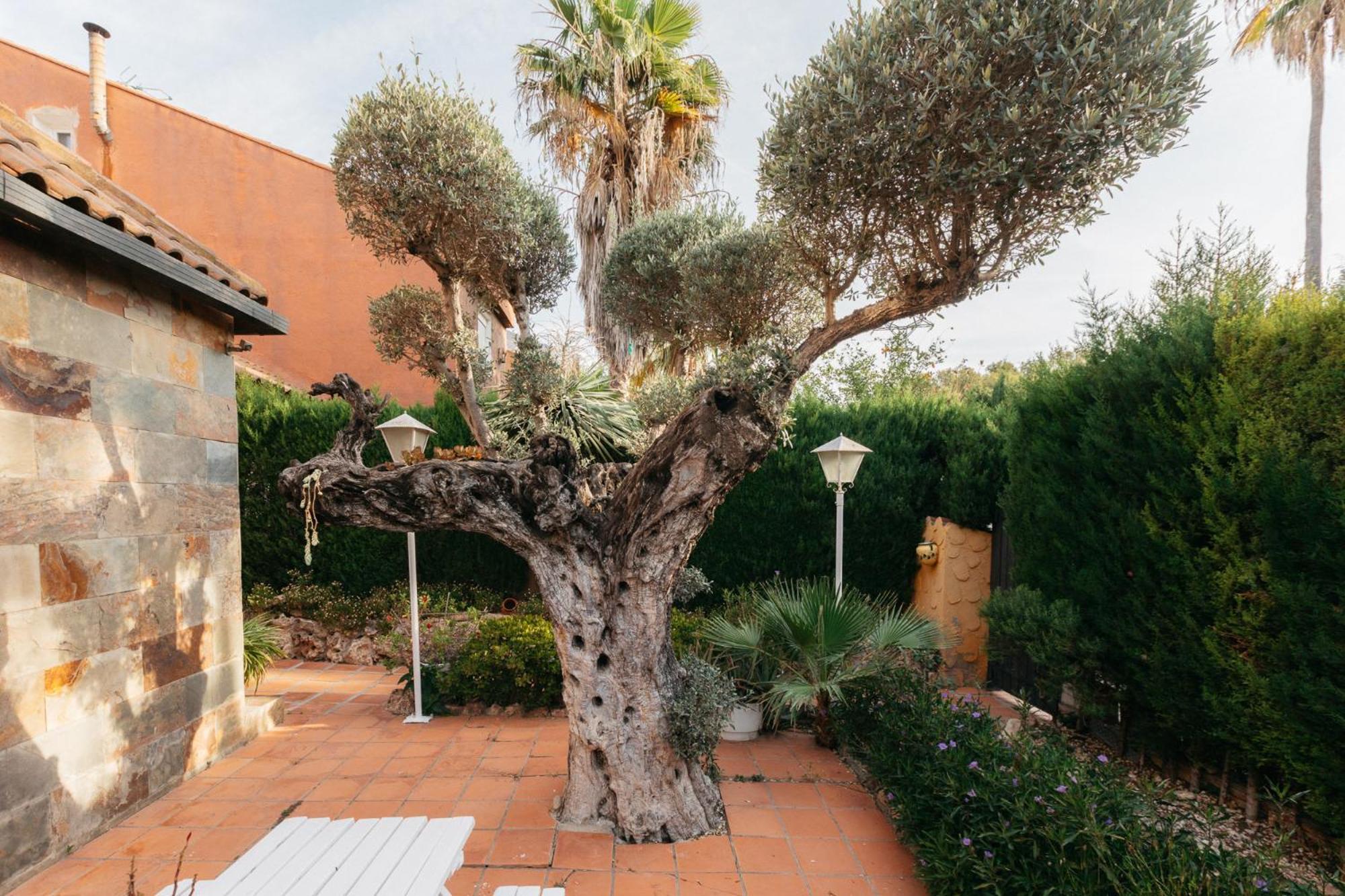 Chalet, Villa Rodeada De Naturaleza Piscina A Doce Klm De Valencia Y 7 Del Aeropuerto Exterior foto